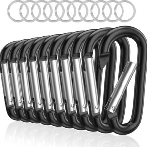 3" Aluminum Carabiner D Ring, Caribeener Clips, Spring Snap Hook for Keychain Clip, Set of 10