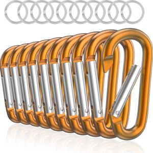 3" Aluminum Carabiner D Ring, Caribeener Clips, Spring Snap Hook for Keychain Clip, Set of 10